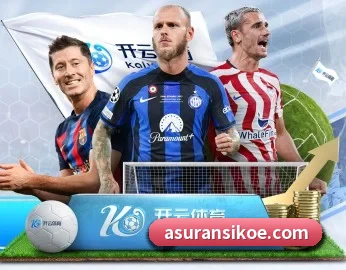 星空网站网址入口 APP 深度功能
